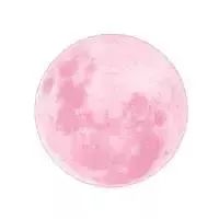 1000份精美礼品进店免费送,千份进店礼免费送