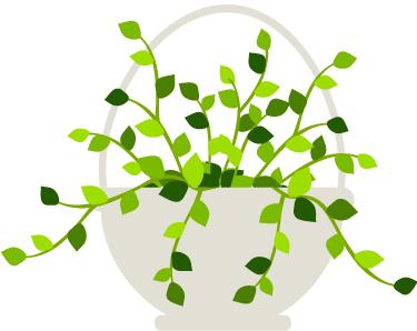 每次喂奶前要清洁吗,乳头适合用去角质产品清洗吗