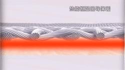 最好用的老寒腿护膝,日本老寒腿护膝