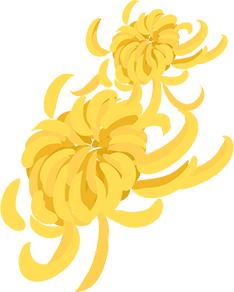 青年之声海口,共青团十一季青年之声