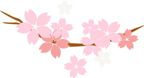 探秘金虹桥JTown日本街,在长宁也能逛东京的店!