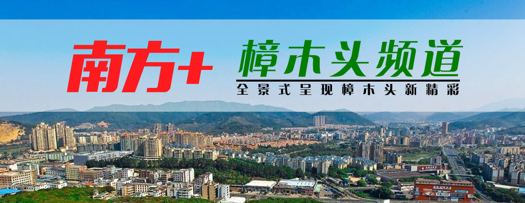 市场监管局分局荣获先进单位,东莞市樟木头市场监督管理局