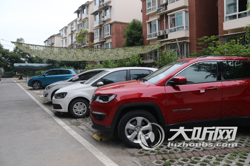 龙马潭区国美绿洲物业,小区物管解决停车难的报告