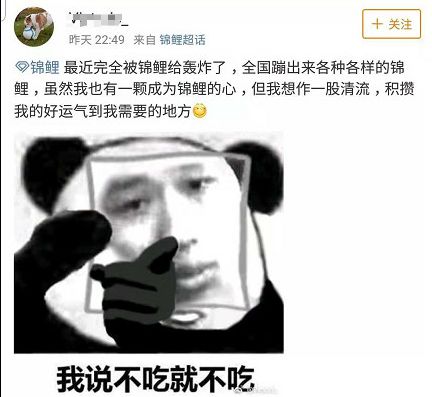 锦鲤骗局细思极恐,锦鲤骗局揭秘最新消息