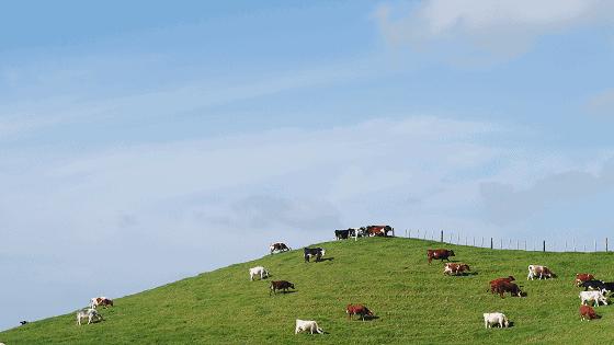 美国潮牌美式风,去美国买的潮牌
