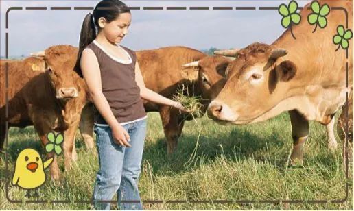 金门福利,金门二日游报团