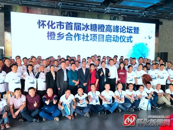 怀化“橙乡合作社”让“山果”变“甜果”