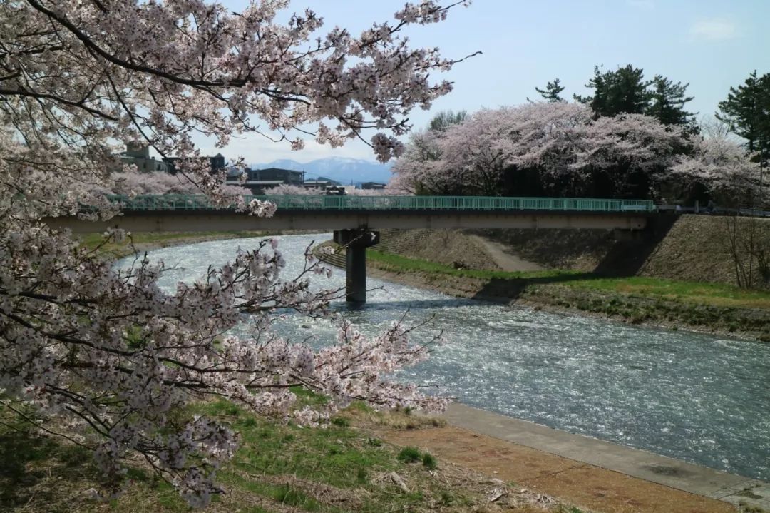 中国人在日本的体验,在日本生活的中国人是怎样的体验