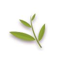 梁实秋雅舍文集全六册,梁实秋随笔集