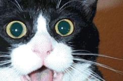 达州这两天有没有降温开始冷起来,下周达州会降温吗