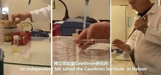 香港脚怎么彻底治愈,香港脚怎么根除