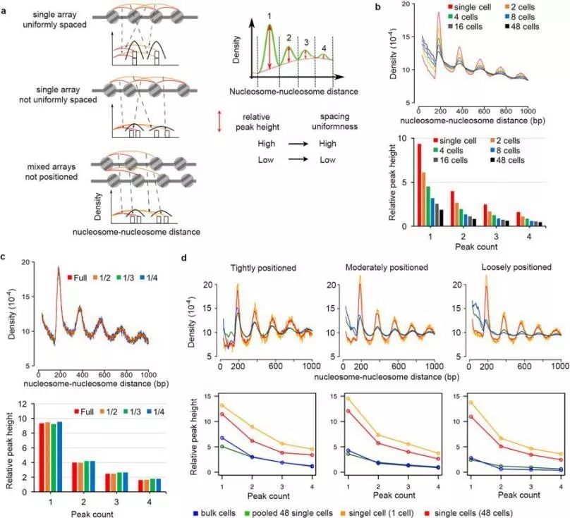 《自然》（20181011出版）一周论文导读