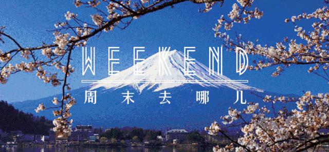 福利｜做不了史诗级锦鲤？那你还可以靠它们来续命！