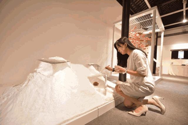 福利｜做不了史诗级锦鲤？那你还可以靠它们来续命！