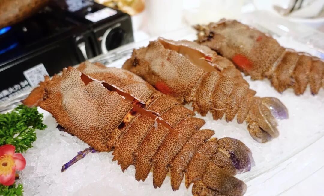 上海高端港式饭店,上海最好的港式餐厅