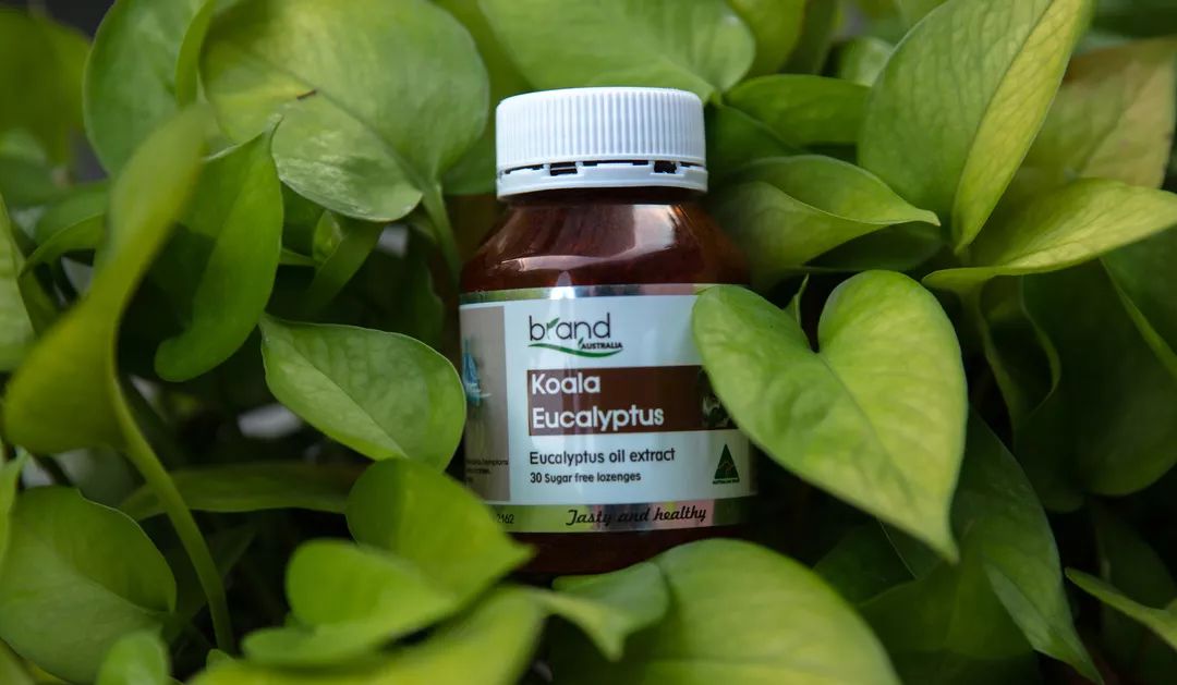 咽炎、干咳救命药！澳洲人的“肺部清道夫”！每天1片，堪比万元洗肺！再也不怕雾霾二手烟了