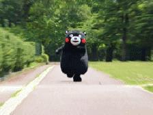 2023国考补录面试名单广西,广西柳州国考补录名单