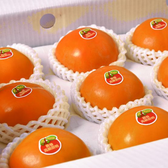 1036有礼啦!花开两岸,柿柿如意——10月20号自驾游报名啦!