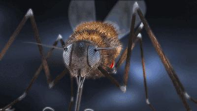 日本顶级灭蚊神器,日本变态灭蚊神器