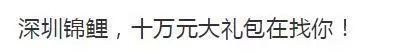 「安全课」“最强锦鲤”是*局骗**？已有36万人的个人信息被骗走！