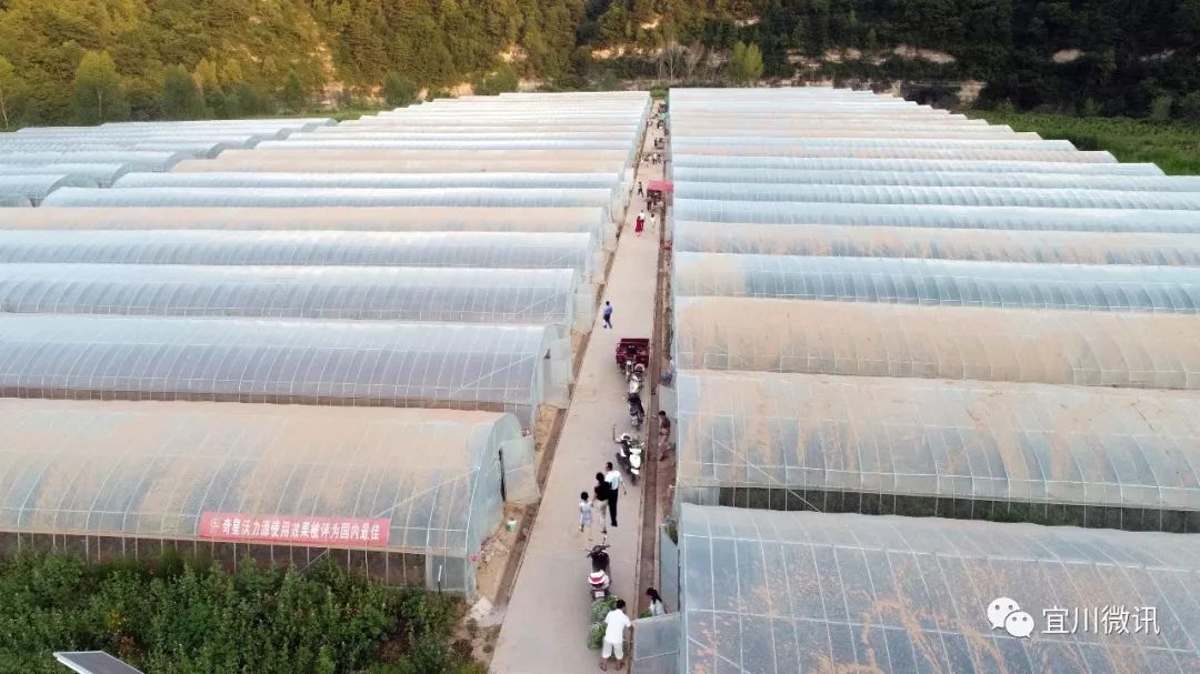 携手共筑致富路抱团取暖奔小康 (同心奔小康种下金种子走出金路子)