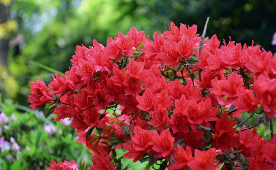 六安月亮岛未来10年规划图,六安市月亮岛在建工程