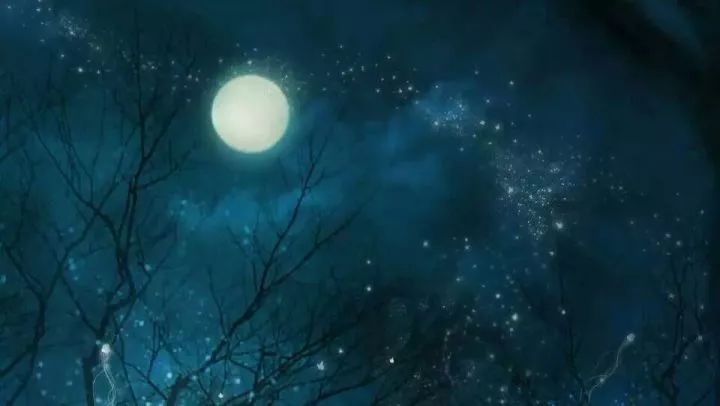 但愿人长久千里共婵娟跟中秋有关,但愿人长久千里共婵娟是写中秋吗