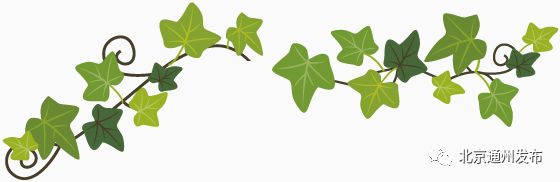 通州建大公园规划图,通州大公园