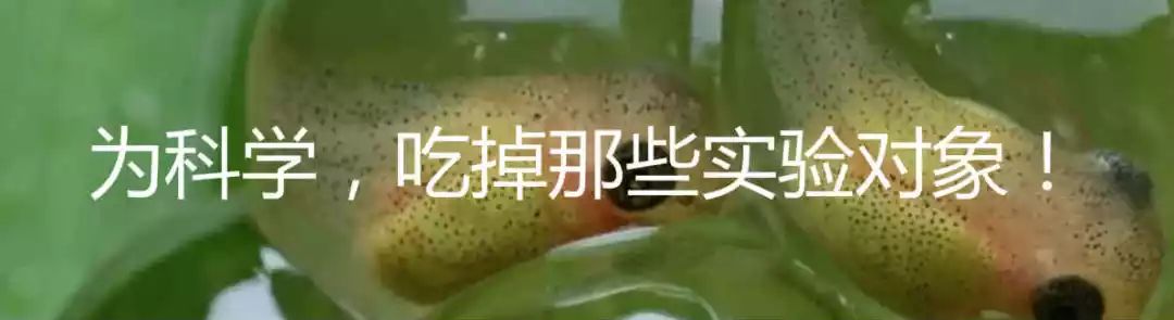 射精经济学与浪漫的诸多形式