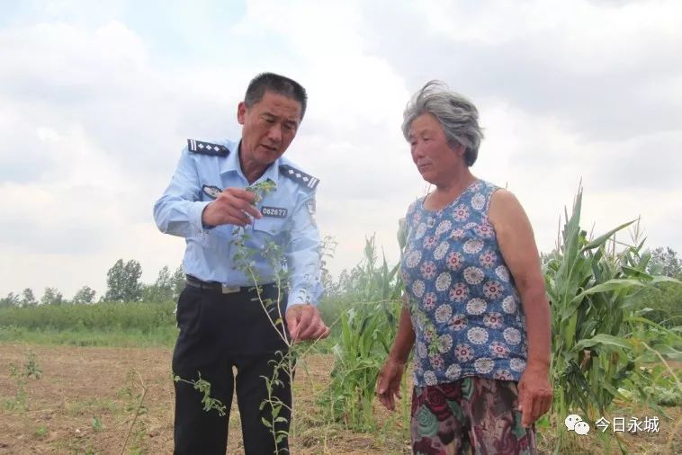 永城国民经济发展报告,永城市发展目标