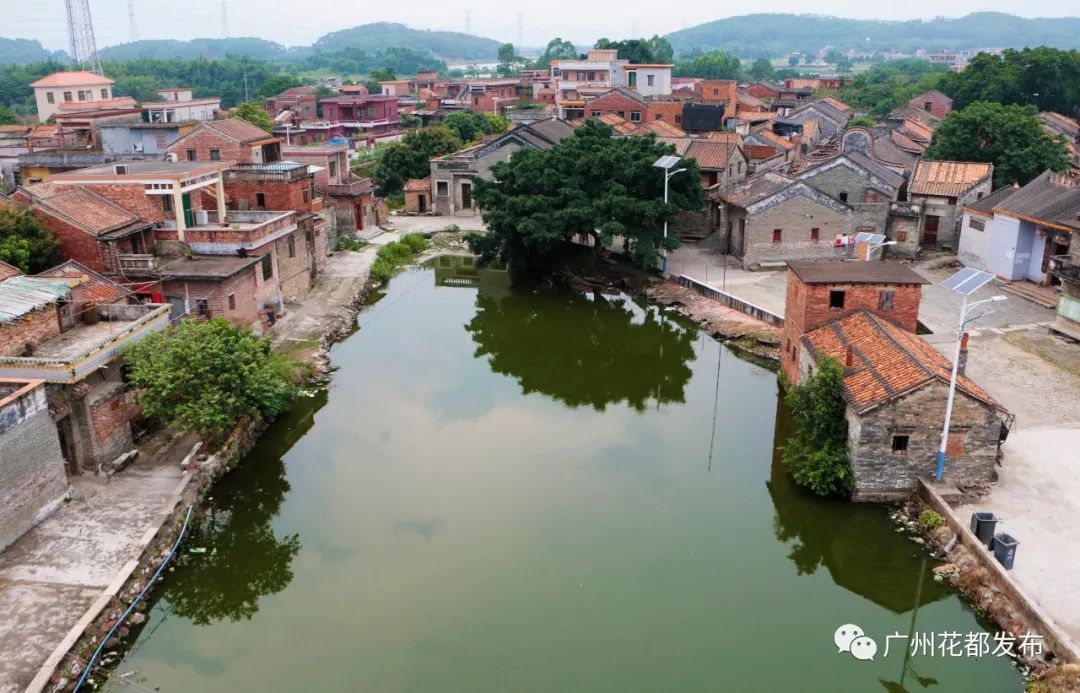 广东十大绿美森林小镇投票,2019年广东省森林小镇认定名单