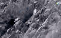 作为内蒙人，山羊这么牛的生物，竟然不了解？