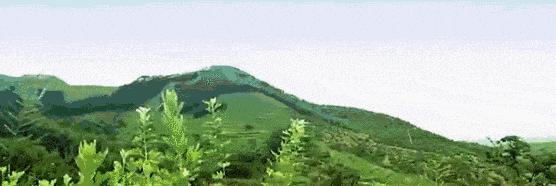 将痛经踩在脚下!抗菌发热的艾草袜,升温3度,秋冬不脚冷