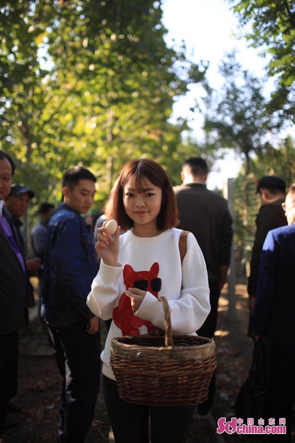 济宁汶上特色,济宁汶上经济发达乡镇