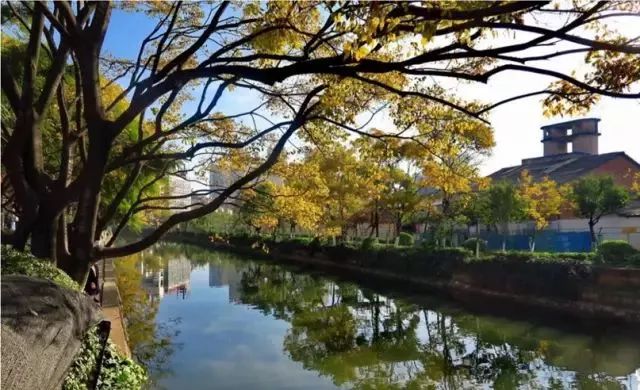 昆明首创奥莱地址,昆明将建100个中心公园名单