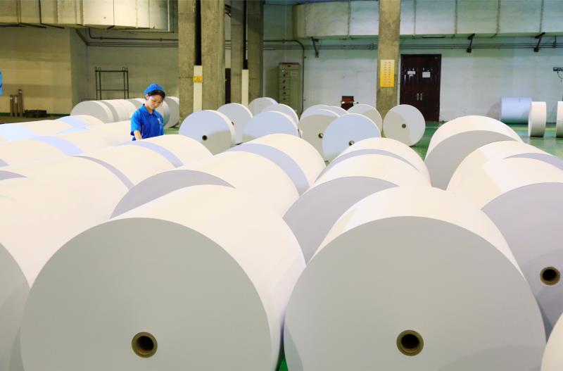 中国纸业与岳阳纸业,岳阳纸业简介