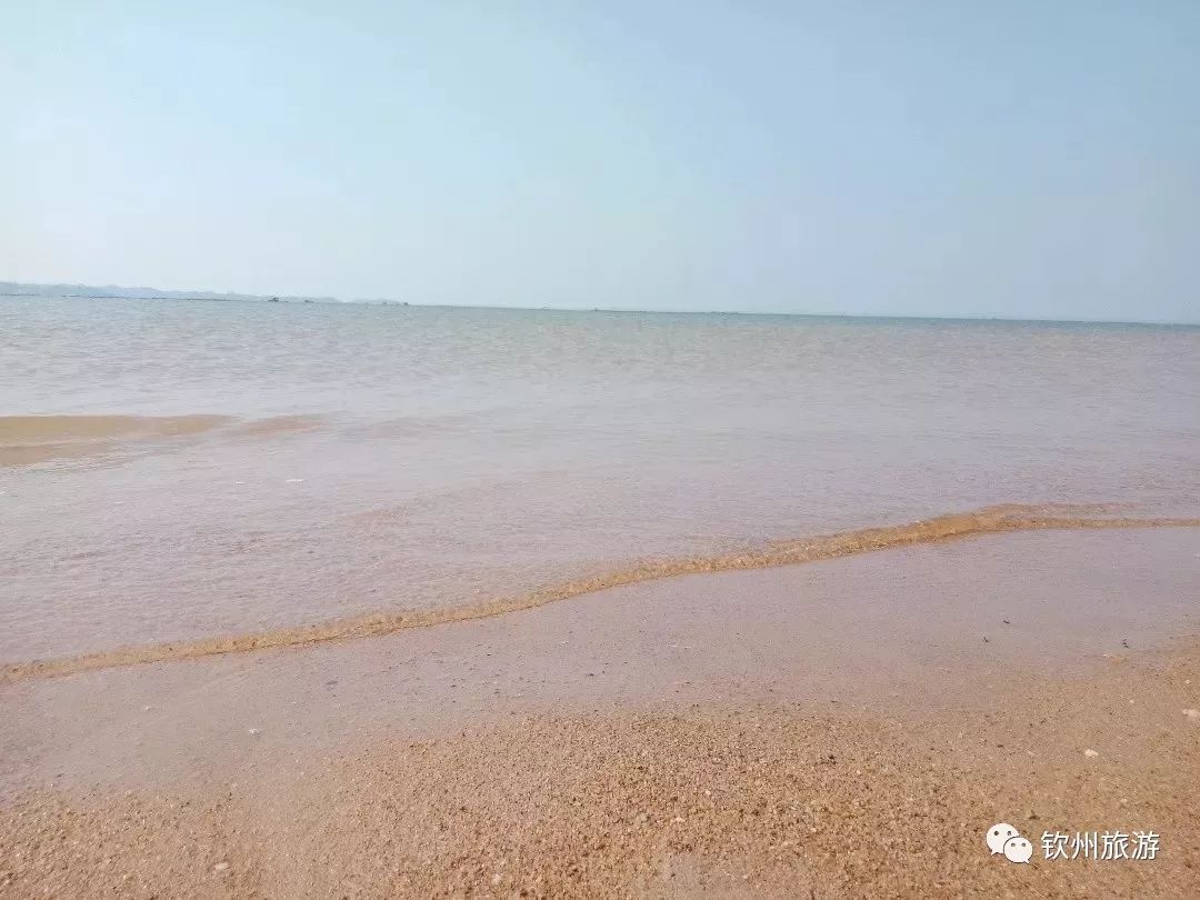 我们一起赶海,赶海攻略北戴河9月份赶海时间表