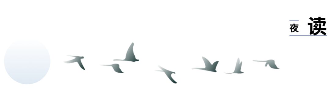 现实版狮子王比想象的更残酷,狮子王真狮版狮王之死