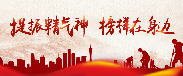 局领导调研园林绿化工作,园林局干部