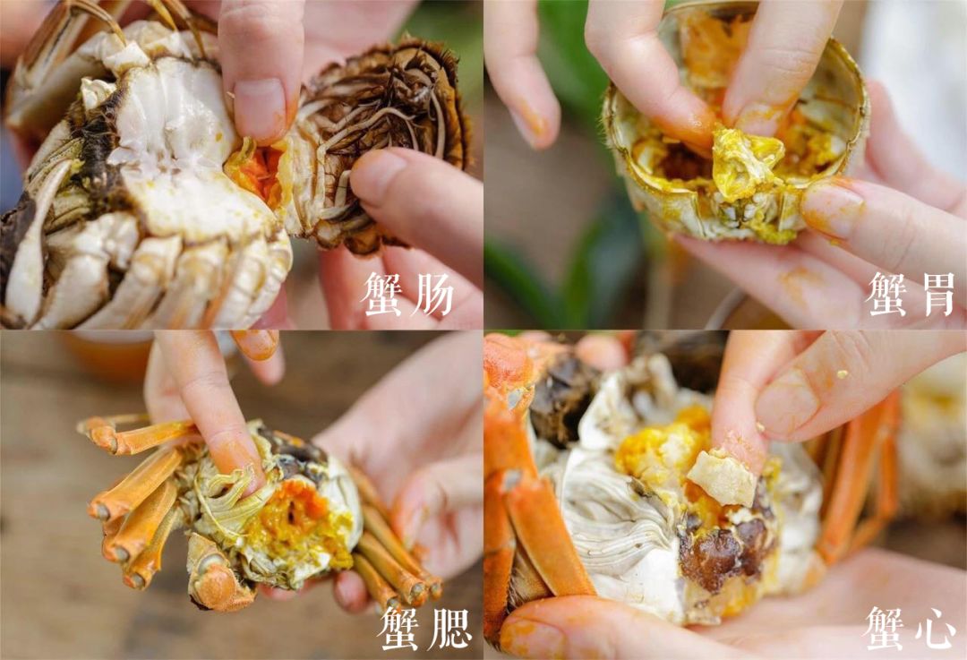 大闸蟹各部位千万别吃图解,大闸蟹这四个部位不建议吃