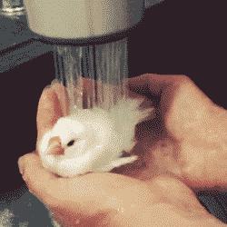 小太阳用在浴室够暖和吗 (浴室里的小太阳真的很冷吗)