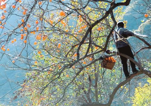 初冬太原附近游玩景点推荐带孩子,太原周边秋景最美的地方