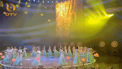 喜讯获奖创历史新高,喜讯获奖