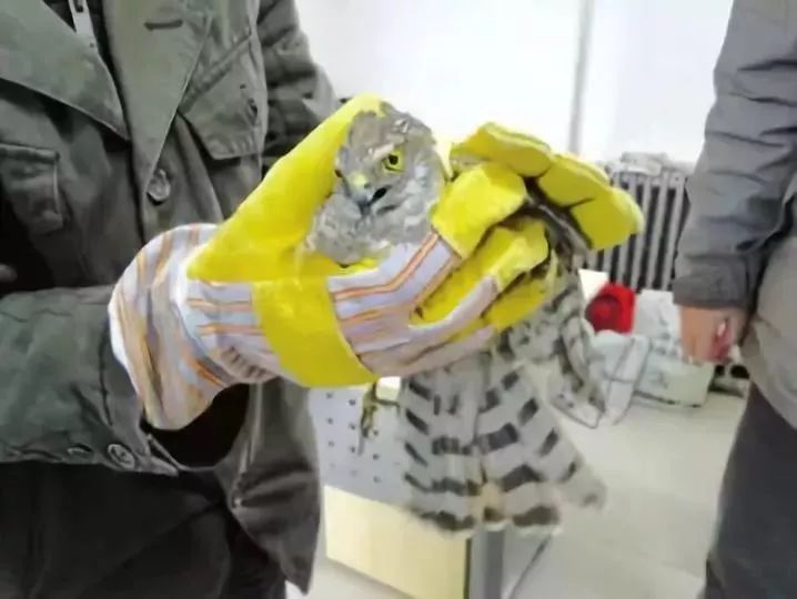 有人煮了几条鱼，发了个短视频，摊上大事了！