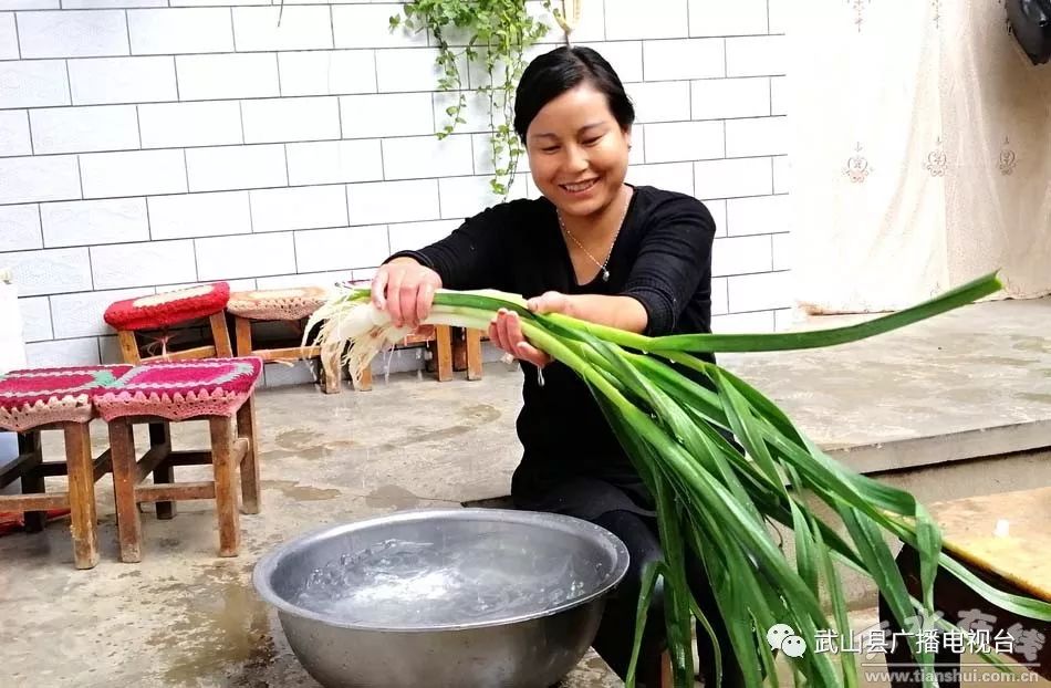 武山县的蒜苗今年价格,武山郭家庄大丰收挖蒜苗