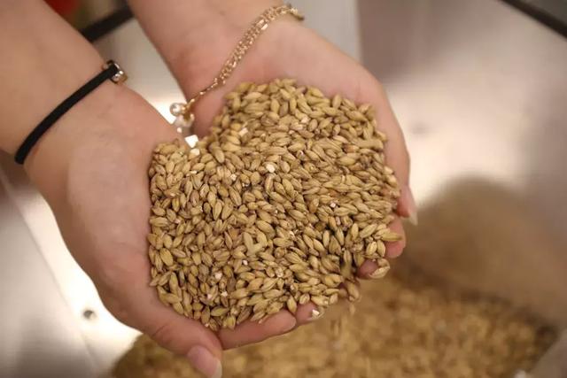 河北唐山：汉斯·啤酒音乐节即将盛大启幕！