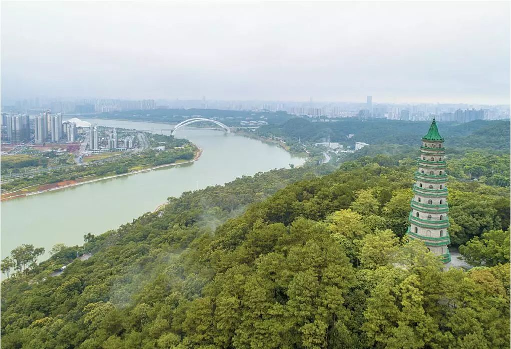 不止云南白药牙膏!盘点那些最喜欢加处方药的“纯天然产品”