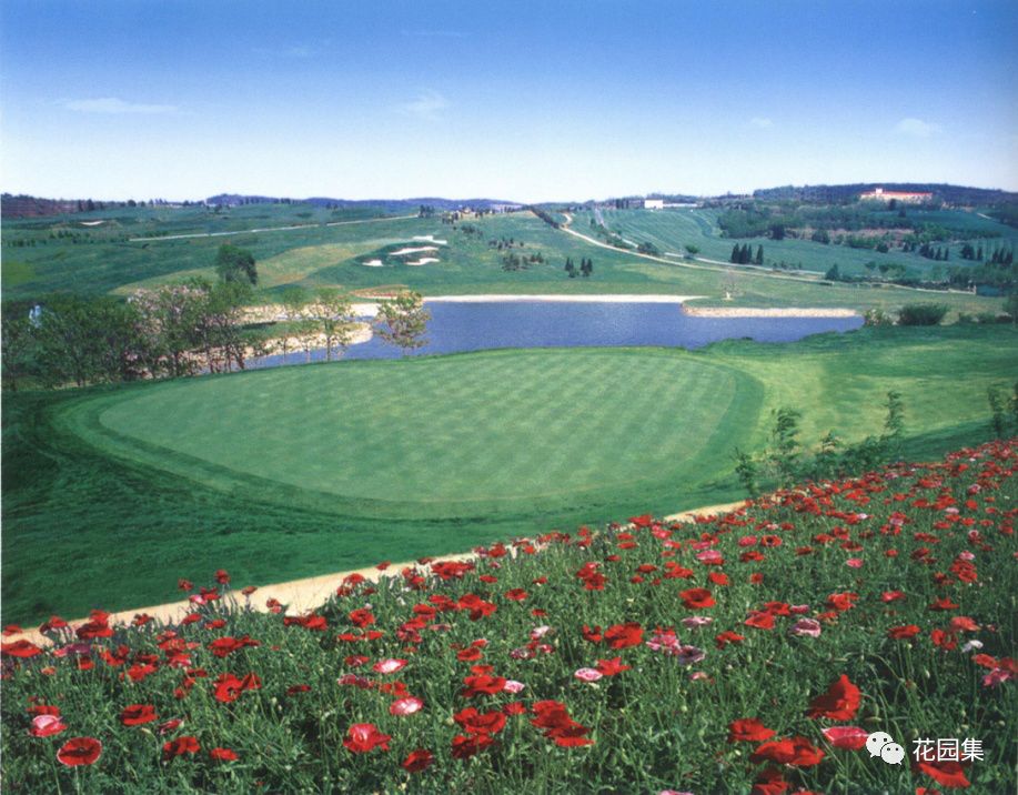 公园草坪怎么养护效果最好,公园草坪管理养护