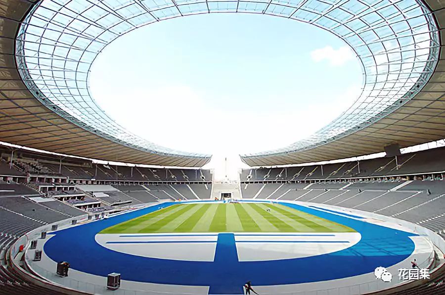 公园草坪怎么养护效果最好,公园草坪管理养护