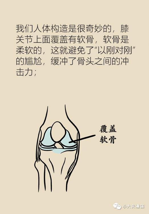 如何治疗骨关节炎和膝盖疼,膝骨关节炎最新诊疗指南